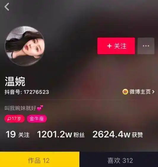 网红温婉黑料是什么类型,_温婉抖音被封禁_温婉未成年蹦迪争议